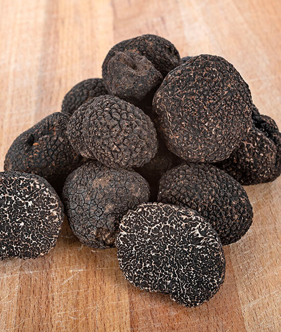 POUDRE DE TRUFFE NOIRE  HGC-HANOS Grossiste Horeca International